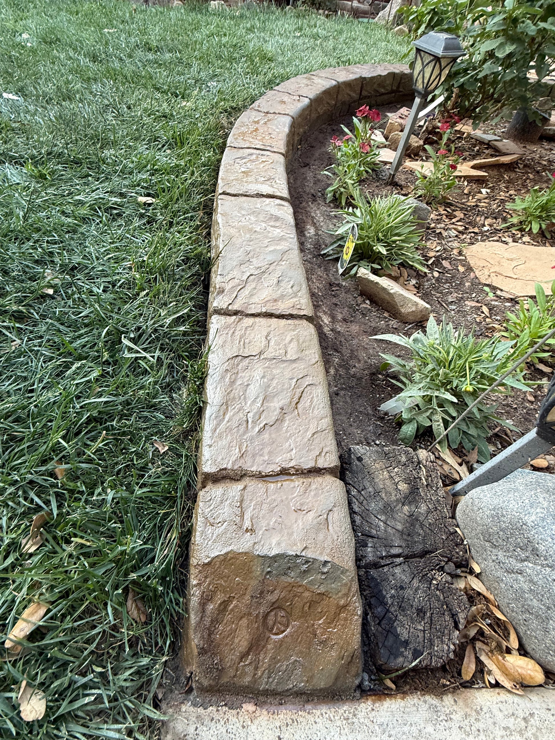 Decorative stone pathway with grass and plants on a sunny day