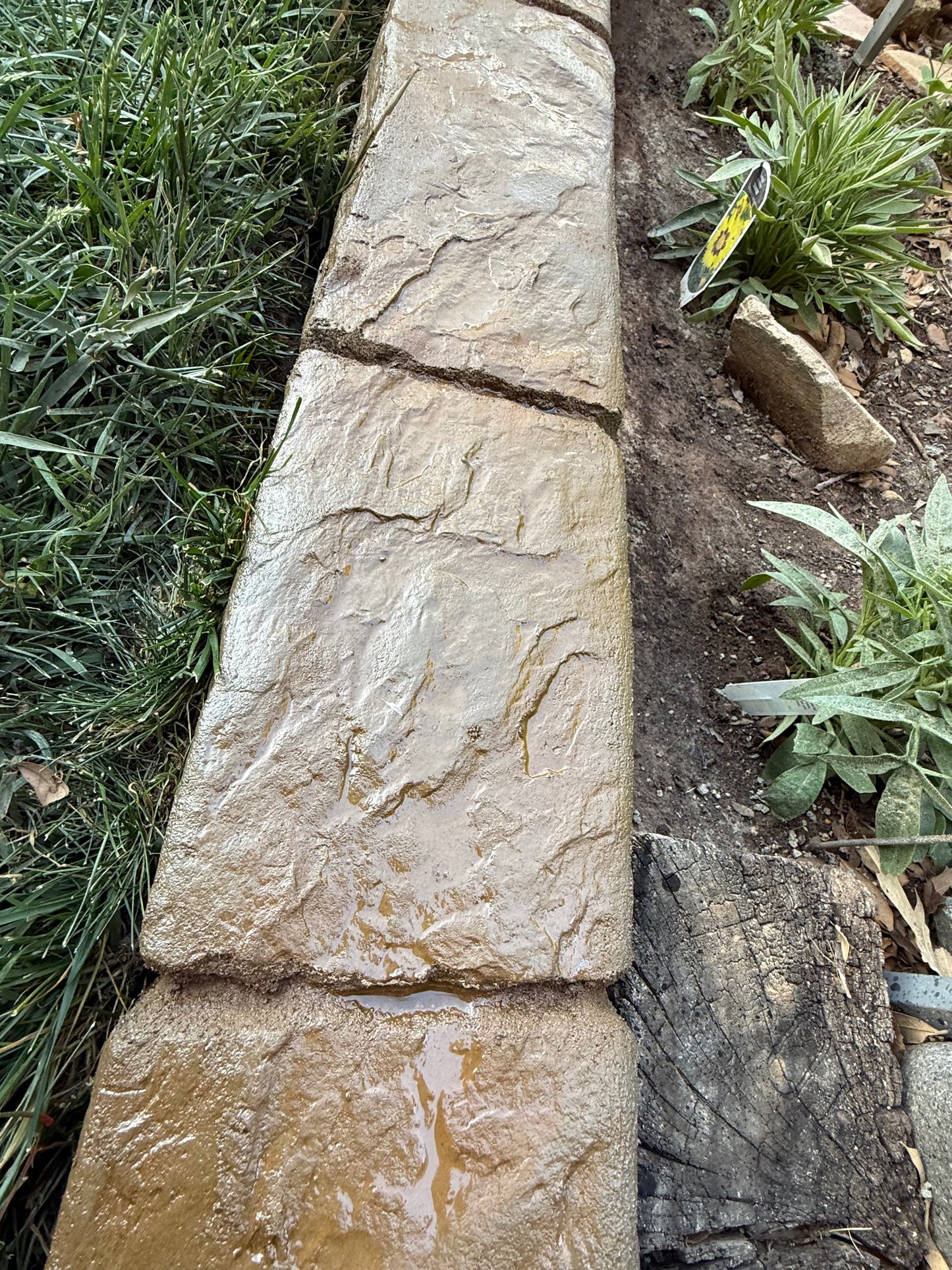 Close-up of West Texas stone pathway with grass and plants around