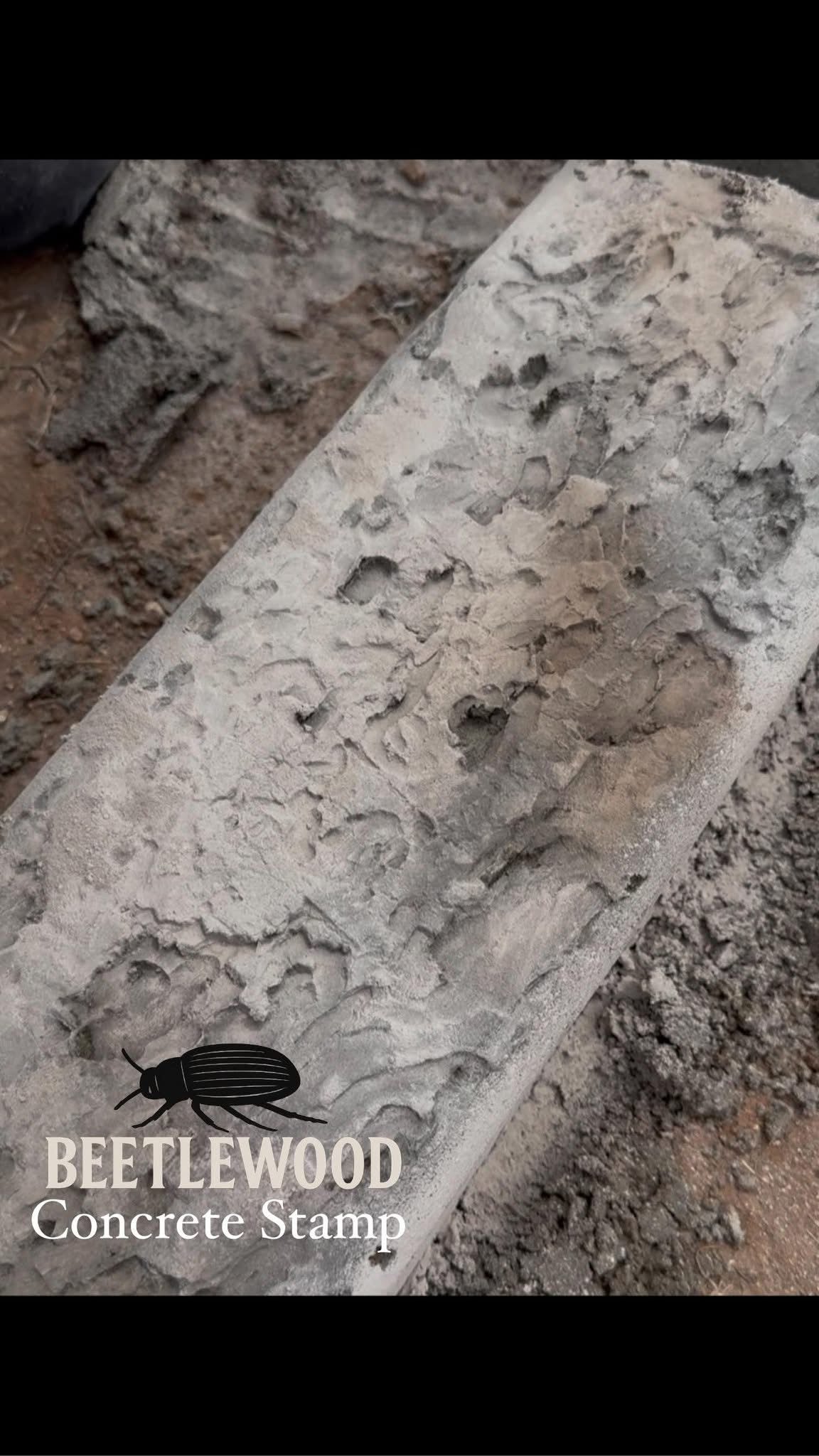 Concrete stamp with beetle design and 'Beetlewood' branding on a concrete surface.