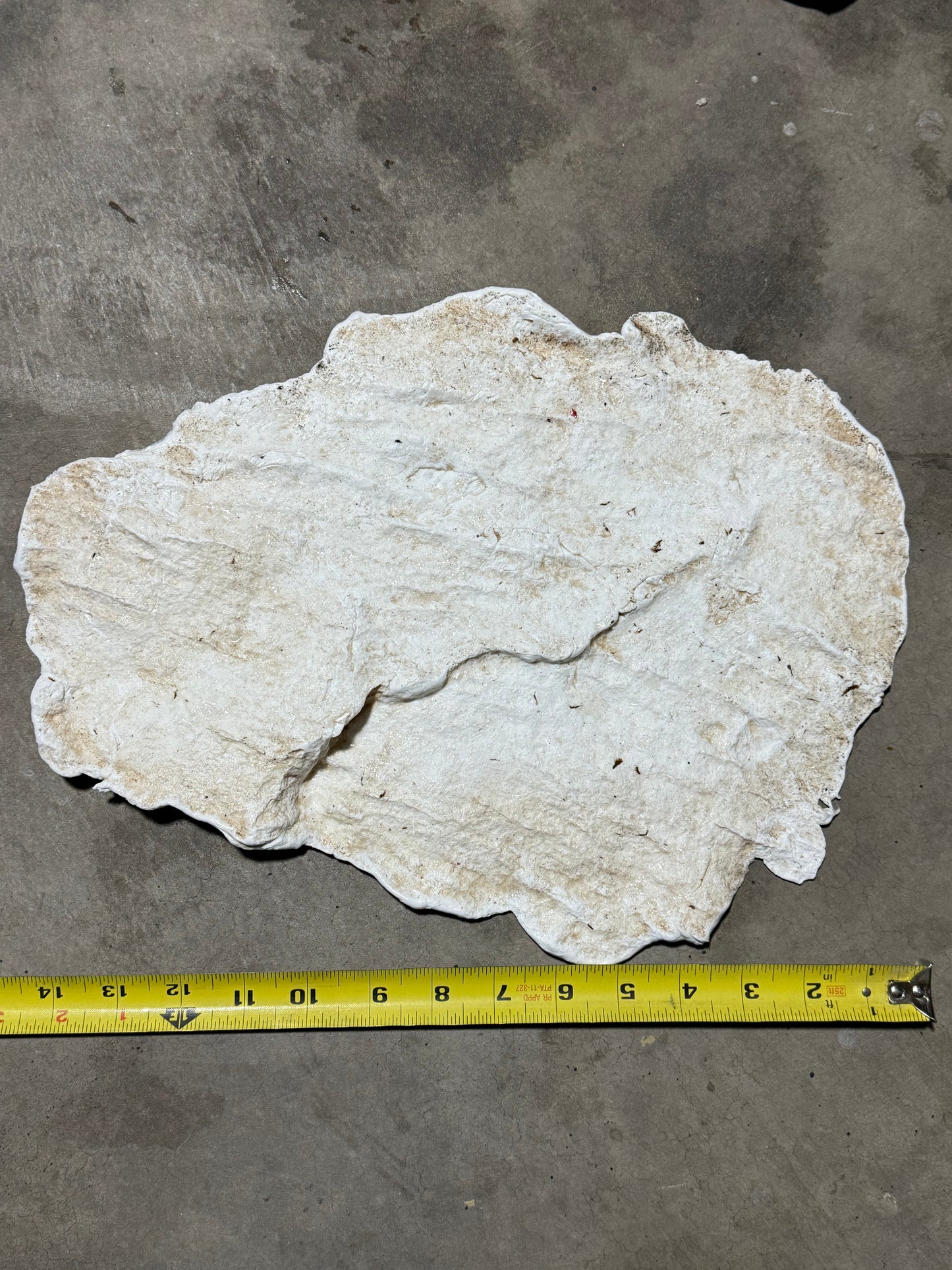 Natural Moss Rock Concrete Stamp- realistic Stone Texture for Decorative Curbing & Vertical concrete