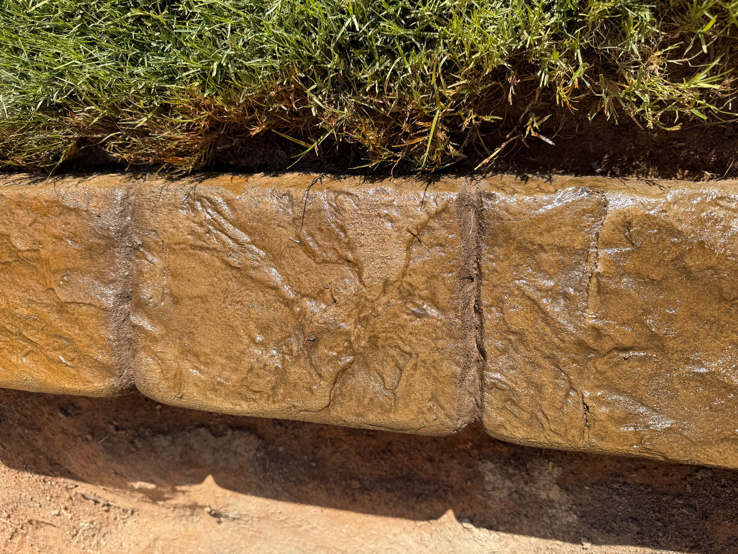 Close-up of a stone border with grass growing through it