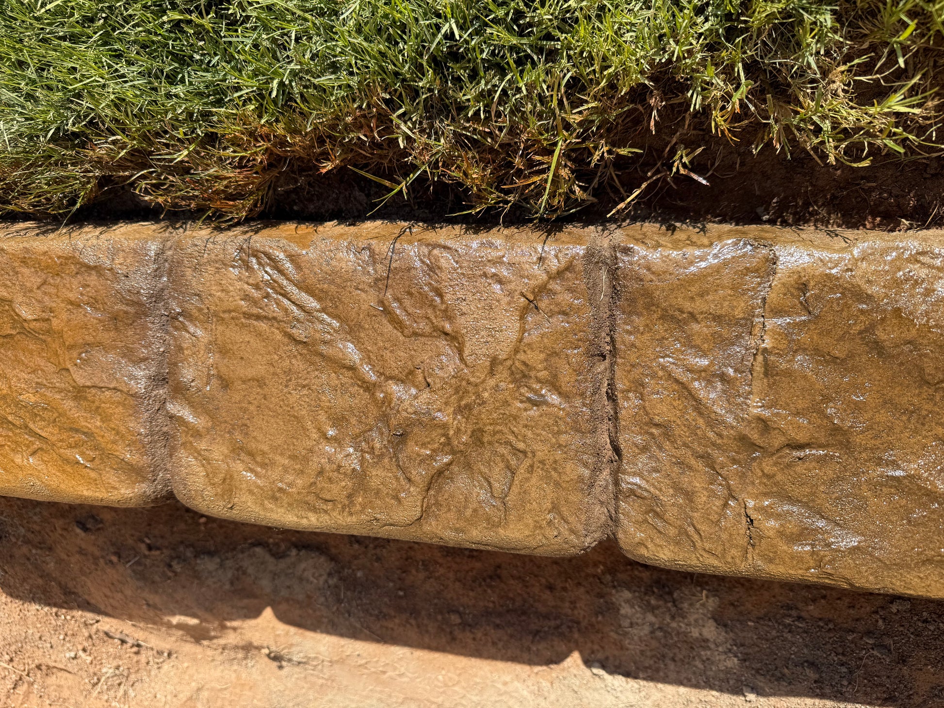 Close-up of a stone border with grass growing through it