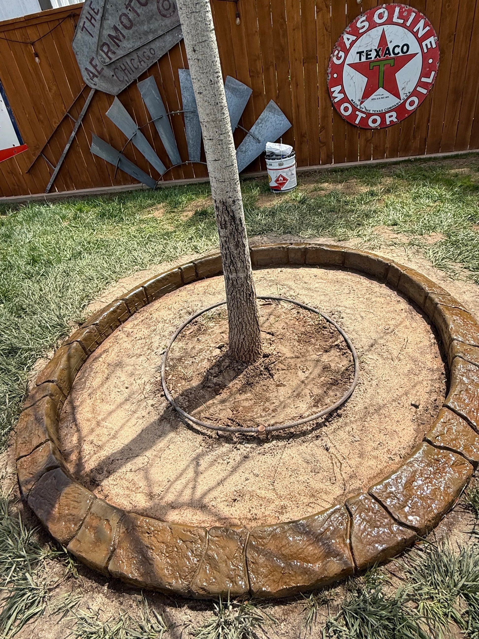 A brown concrete tree ring with the onyx stamp textured on it surrounding a tree