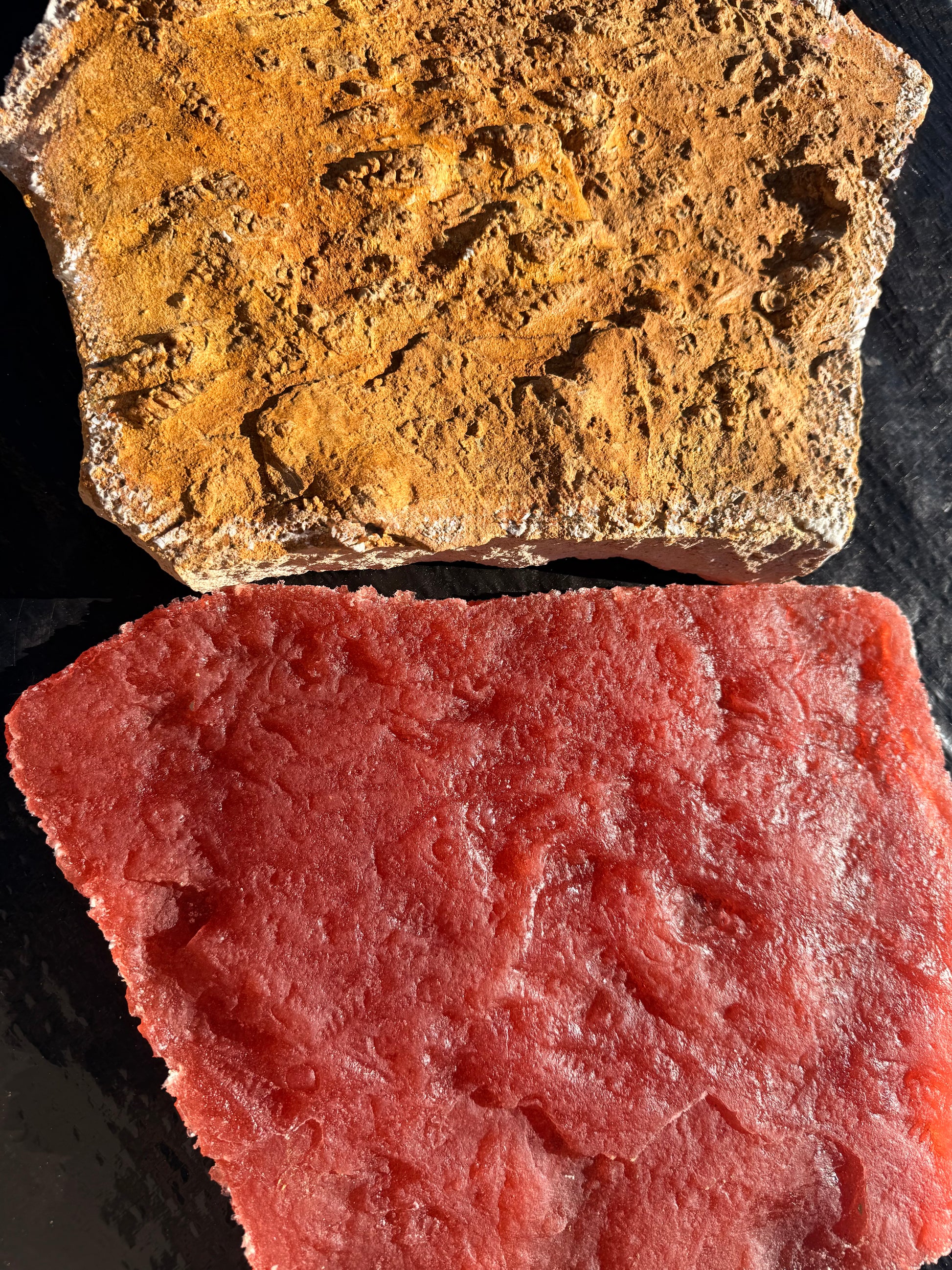 Close-up of the Turritella Fossil concrete stamp along with the rock fossil, rock is light brown in color and the stamp is a reddish pink.