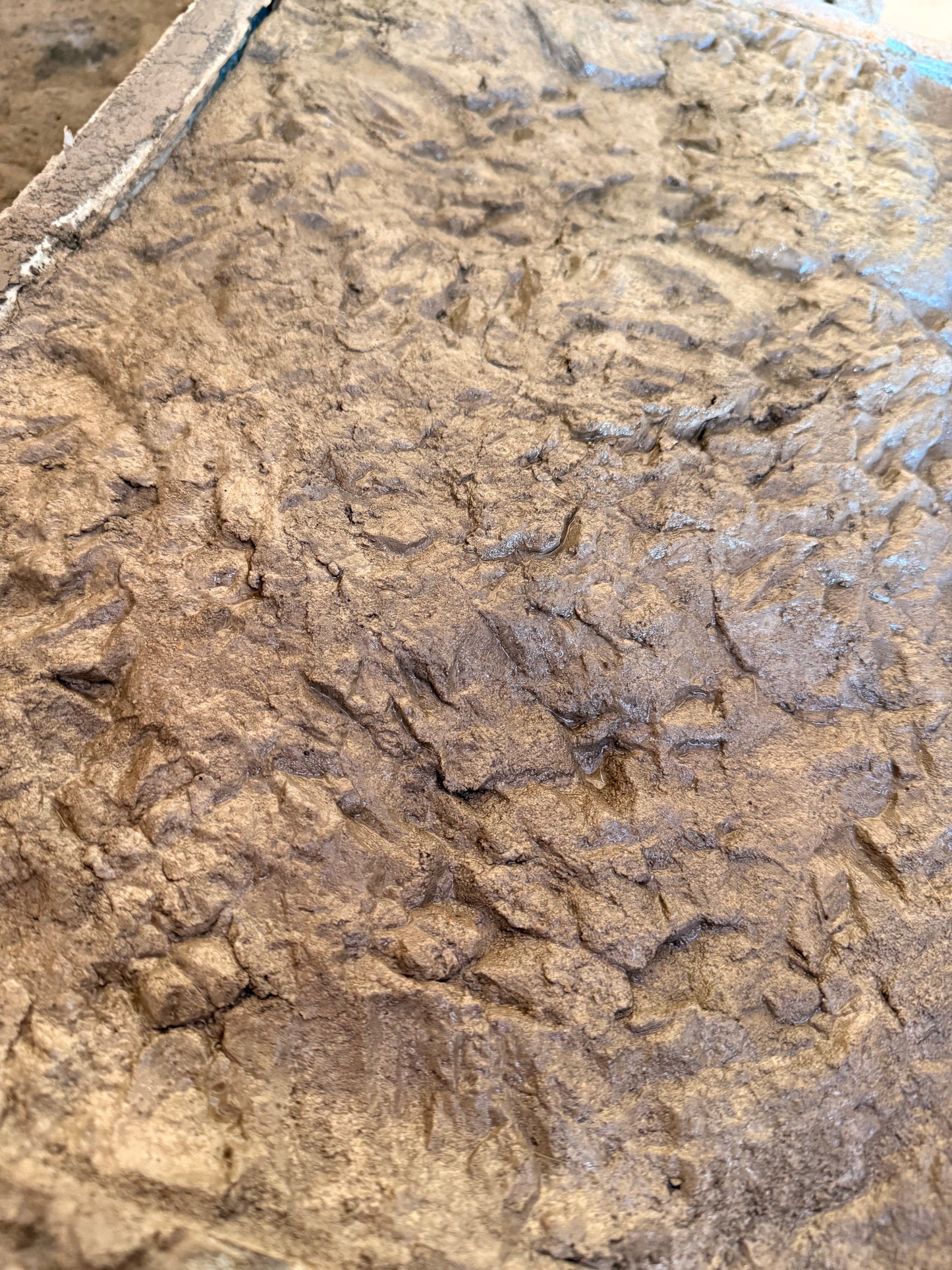 Close-up of a textured stone surface of the canyon ledge concrete stamp.