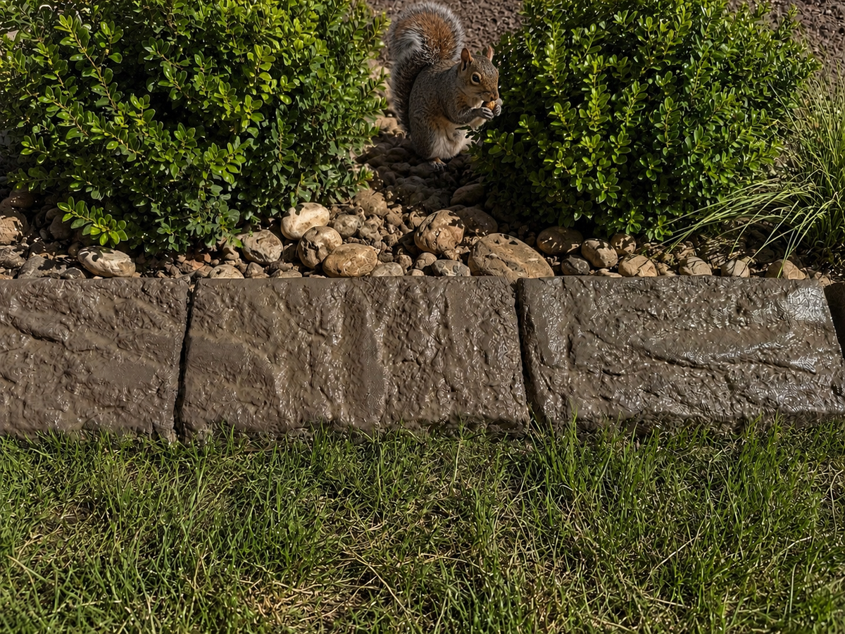 A gray stone border or retaining wall in a landscaped garden bed with green shrubs, mulch, rocks, and grass. A squirrel is visible behind the plants above the wall.